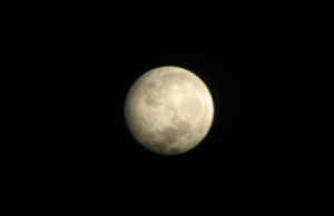 I took this photo of the moon using my phone and my small telescope. 