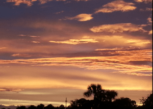 Screenshot_2014-12-16-09-29-47-1