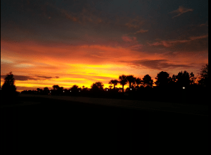 Screenshot_2014-12-16-09-30-04-1