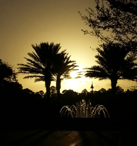 Fountain & sunset - combining two of my favorite things :)