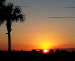 Screenshot_2014-12-16-09-32-20-1